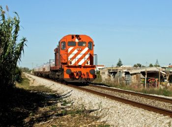 Tour Zu Fuß Pechão - Caminho Rural - Photo