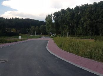 Tour Zu Fuß Neidenstein - Rundwanderweg Neidenstein 2: Galgenberg-Weg - Photo