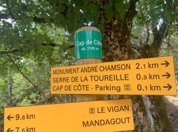 Tour Wandern Arphy - Cascade de l’Orgon  - Photo