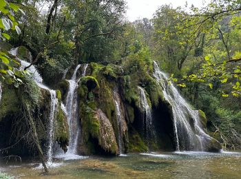 Tour Wandern Les Planches-près-Arbois - La cascade des Tufs à Les Planches-près-Arbois - Photo