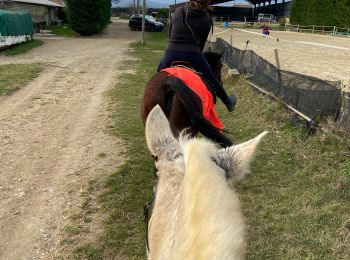 Trail Horseback riding Bourg-lès-Valence - Télégraphe  - Photo