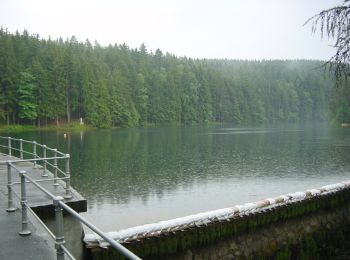 Tour Zu Fuß Tambach-Dietharz - Rundwanderweg Tambach-Dietharz - Photo