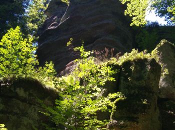 Excursión Senderismo Raon-l'Étape - la trouche 2022 - Photo