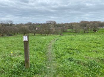 Trail Walking Ternat - Ternat 23,4 km - Photo