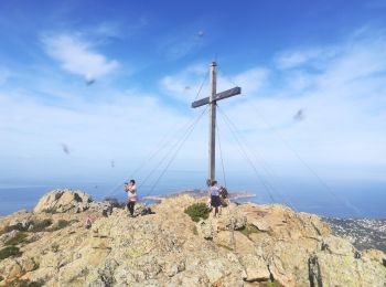 Trail Walking Calvi - boucle croix des autrichiens - Photo