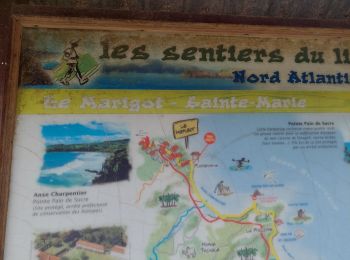 Tour Pfad Sainte-Marie - Sainte Marie- Marigot via la forêt La Philippe  - Photo
