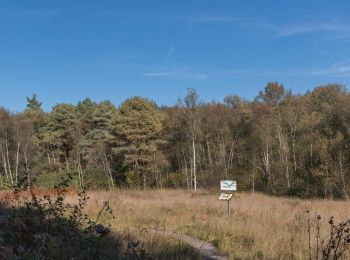 Tocht Stappen Bretoncelles - Bretoncelles - Senonches 24 km - Photo