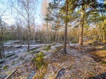 Percorso A piedi Sconosciuto - Björkhagsspåret - Photo