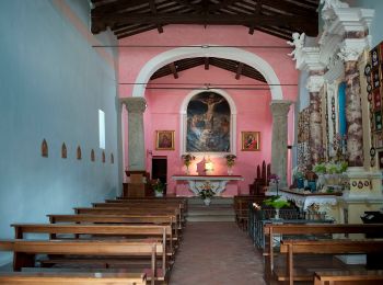 Percorso A piedi Gambassi Terme - Dolce campagna, antiche mura 16 - Photo