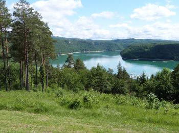 Tocht Stappen Maisod - Jura (lac de Vouglans 06-06-2019) - Photo