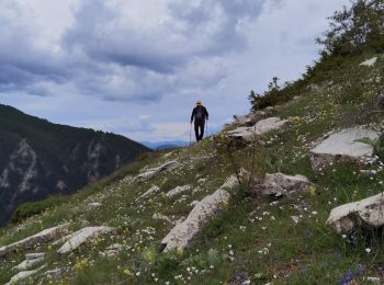 Trail Walking Beauvezer - Villard Heyssier_ gorges st Pierre_pont d'Ondres - Photo