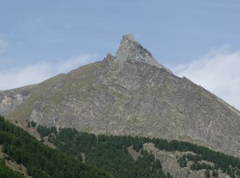 Randonnée A pied Cogne - Alta Via n. 2 della Valle d'Aosta - Tappa 9 - Photo