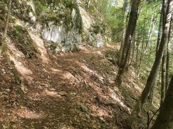 Trail Walking Cusy - 13-09-2022 La Grand-Raie au Col de la Cochette - Photo