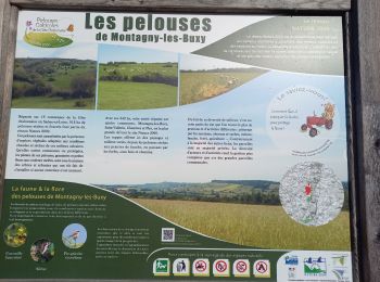 Randonnée Marche Montagny-lès-Buxy - rando autour de rimont - Photo