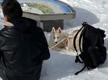 Tocht Sneeuwschoenen La Clusaz - 13 - tête du Danay - Photo