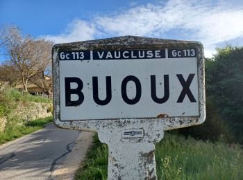 Randonnée Marche Buoux - APT,  Buous , circuit d Aigue Brun o l  - Photo