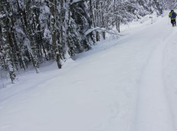 Percorso Racchette da neve Le Hohwald - rptlch - Photo