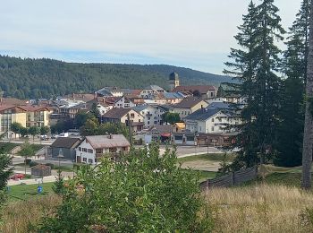 Tour Wandern Les Rousses - GTJ 7 Les Rousses/Lajoux Le Manon - Photo