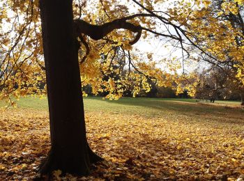 Trail Walking Soisy-sur-Seine - Soisy sur Seine - Photo