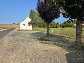 Tour Wandern Avon-les-Roches - Avon-les-Roches - Lavoirs et Collégiale des Roches Tranchelion - Photo