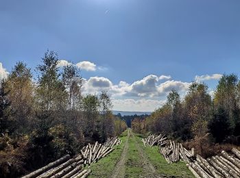 Tour Mountainbike Geilich - SityTrail - VTT 4 Gouvy - Photo