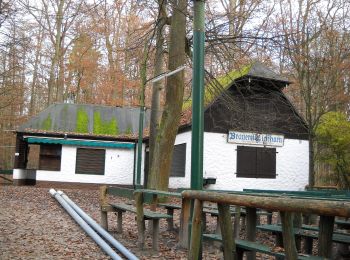 Tour Zu Fuß Forchheim - Forchheim Walking-Vital Route - Photo