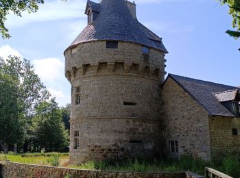 Excursión Senderismo Plougrescant - Anse de Gouermel - Photo