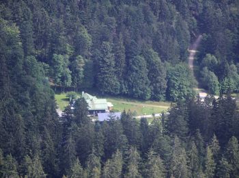 Tocht Te voet Drachselsried - Wanderweg 5 - Photo