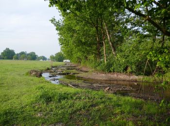 Percorso A piedi Hövelhof - A1 (Hövelhof) Fünf-Bäche-Weg - Photo