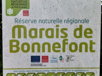 Randonnée Marche Mayrinhac-Lentour - Le marais de Bonnefond  - Photo