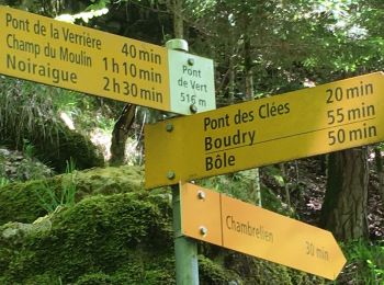Trail On foot Boudry - Pont des Clées-Forêt de Boudry - Photo
