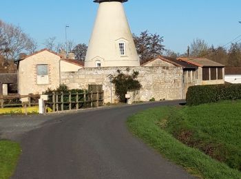 Tocht Stappen Lys-Haut-Layon - Tancoigné - Photo