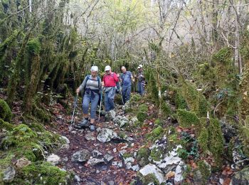 Trail Walking Peyreleau - belle rando dans les Cevennes  - Photo