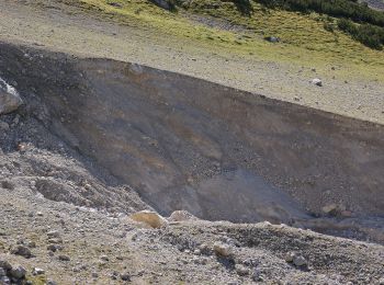 Tour Zu Fuß Ramsau am Dachstein - Almspaziergang - Photo