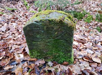 Percorso A piedi Sconosciuto - Botnanger Kuckucksweg - Photo