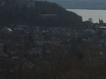 Tocht Stappen Aix-les-Bains - Corsuet Pont Rouge - Photo