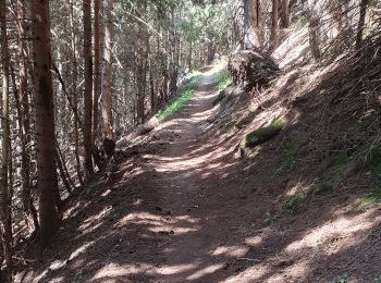 Tour Mountainbike Hauteluce - tour lac girote - Photo