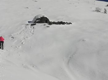 Excursión Raquetas de nieve Bagnères-de-Bigorre - Courcaou de la Lit - Photo