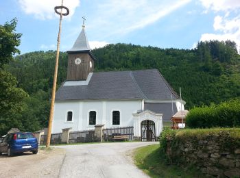 Percorso A piedi Deutschfeistritz - Wanderweg 17 - Photo