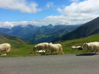 Percorso A piedi Béost - Les crêtes d’Andreyt - Photo