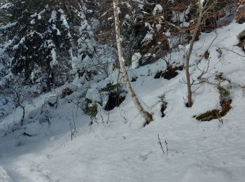 Randonnée Raquettes à neige Les Houches - 20230130 Les Houches Christ Roi - Photo