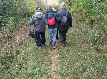 Tour Wandern Vallan - AVF Vallan  - Photo