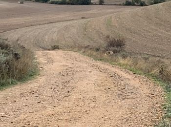 Trail Walking Burgos - 2023 10 24 CAMINO FRANCES - 32ème étape : Burgos - Tardajos - Rabelais de l’as Calzadas - Hornillos Del Camino - Hontanas  - Photo