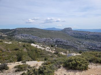 Trail Walking Allauch - le pic du Taoumé par Pichauris - Photo