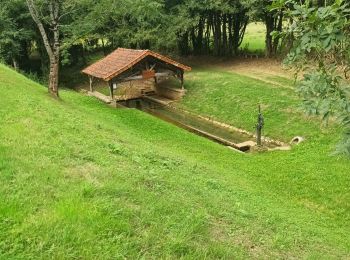 Excursión Bici de montaña Alloue - Alloué Nanteuil en Vallée  - Photo