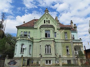 Percorso A piedi Brașov - Brașov (centru) - Stejerișul Mare - Poiana Mică - Photo