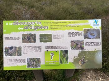 Trail Walking Chevagny-les-Chevrières - 06.04.2021 - Photo