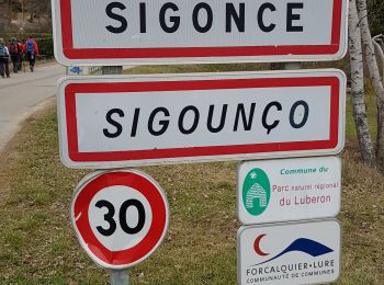 Percorso Marcia Sigonce - Boucle du Grand Champ depart Sigonce 382+ - Photo