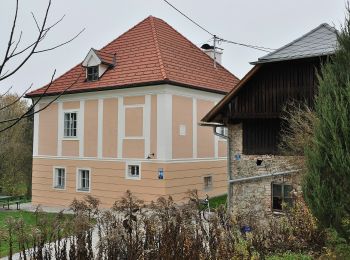 Randonnée A pied Ottensheim - Bauern und Holzknechtrunde - Photo