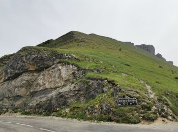 Tocht Stappen Omblèze - Le Plateau d'Ambel du Col de la Bataille - Photo